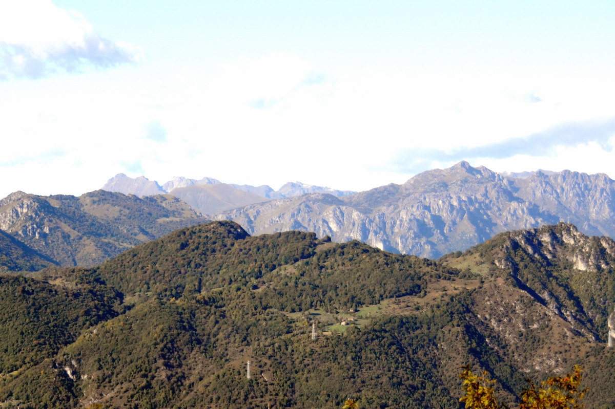 Aiuto riconoscimento Orobie, Prealpi bergamasche e bresciane